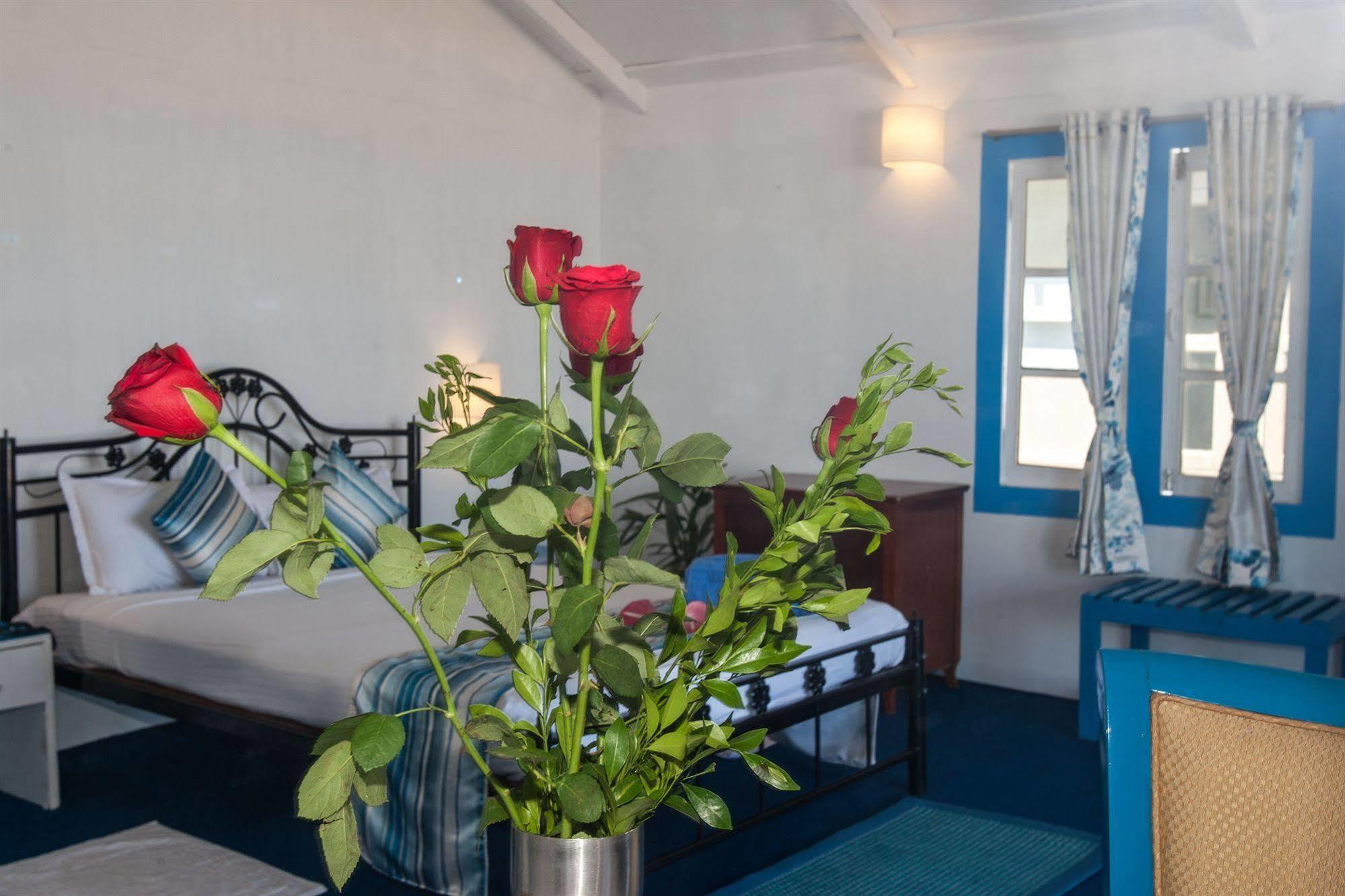 Bed and breakfast Cuba Agonda Extérieur photo